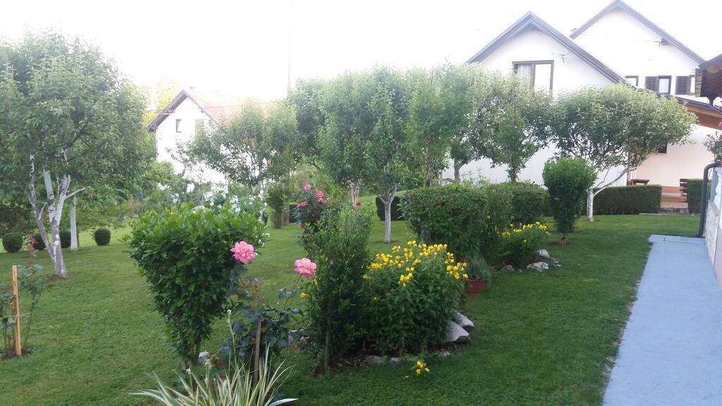 Guesthouse Tomas Čatrnja Exterior foto
